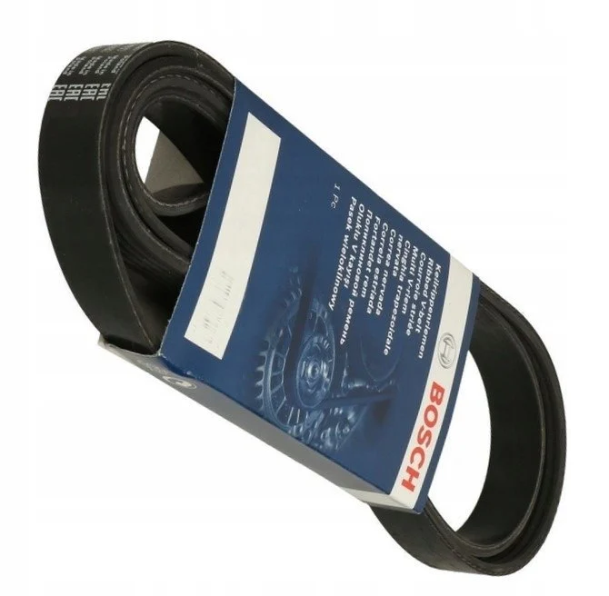 DINAMO REMEN MB — foto