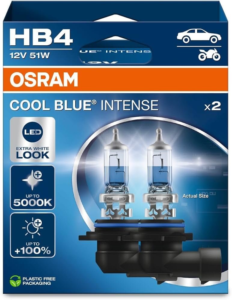 Lampa 12V Hb4 51W (P22D)